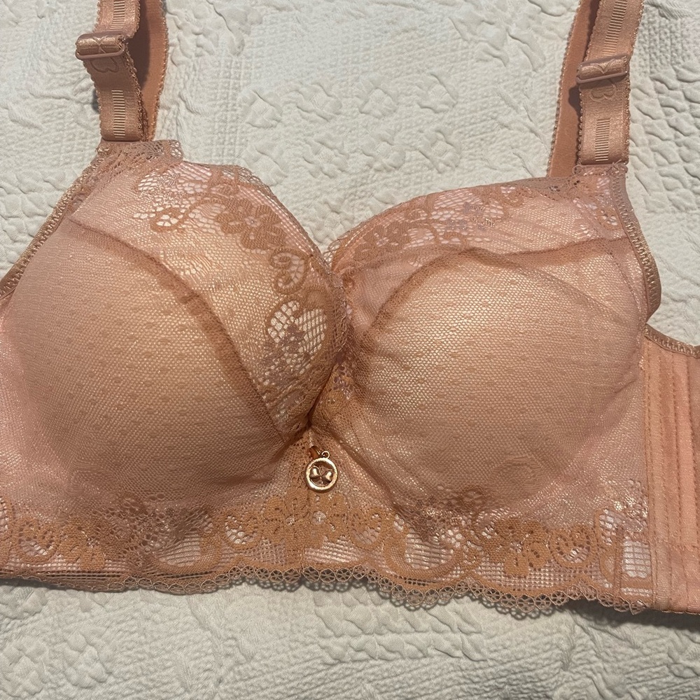Elegant Lace Women's Bra Fallsweet Sz 42B Underwire Push-up Bra New